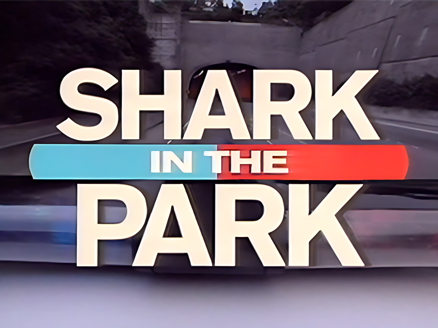 Shark in the Park